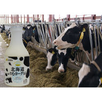 新札幌乳業(株) [冷蔵]新札幌 北海道のむヨーグルト 500g×3個 4908118277887 1セット(3個)（直送品）