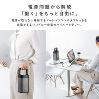 サンワサプライ USBPD対応ハンドル一体型モバイルバッテリー(67000mAh) BTL-RDC36 1個（直送品）