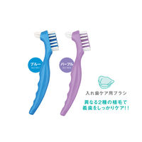 義歯ブラシ 入れ歯ブラシ パープル GU-002 1ケース(12本入) ダイト