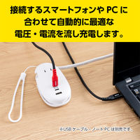 ナカバヤシ モバイルUSB-ACタップ PD対応 65W ホワイト JYU-ACU012W 1個