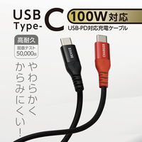 ナカバヤシ Type-C PD100W対応ケーブル 3m UPD-2A30/BK 1本