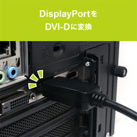 ナカバヤシ DisplayPort-DVI 変換アダプタ DP-DVA1/BK 1本