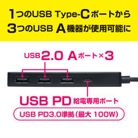 ナカバヤシ USB2.0 3ポートハブ PD100W対応 ブラック USH-CA20P/BK 1個