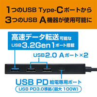 ナカバヤシ USB2.0/3.2 Gen1 3ポートハブ PD100W対応 ブラック USH-CA32P/BK 1個