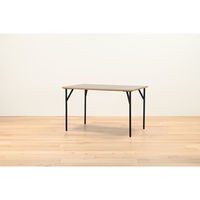 【軒先渡し】HIKARI ワークカフェダイニング ダイニングテーブル DLT-アリカ 120-Mテンバン GRY/スチールレッグBK 1台（直送品）