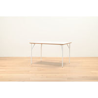 【軒先渡し】HIKARI ワークカフェダイニング ダイニングテーブル DLT-アリカ 120-Mテンバン WH/スチールレッグWH 1台（直送品）