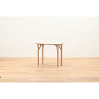 【軒先渡し】HIKARI ワークカフェダイニング ダイニングテーブル DLT-アリカ EX.-Mテンバン WH/ウッドレッグ 1台（直送品）