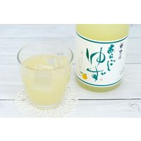 梅乃宿酒造 あらごしゆず 720ml 1本 リキュール　果実酒