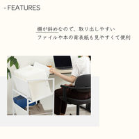 アスカ 木製ファイルワゴン2段 ホワイト FWG02W 1台（直送品）