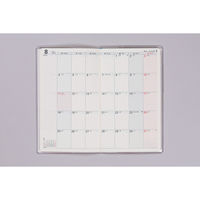 高橋書店 【2025年版】リベルプラス4 手帳判 月間 月曜始まり ドルチェ・ピンク 274 1セット(1冊×2)（直送品）