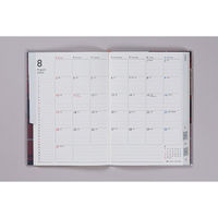 高橋書店 【2025年版】クレールインデックス1 B6 月間 日曜始まり 384 1冊（直送品）