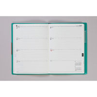 高橋書店 【2025年版】フェルテ9 B6 見開き1週間 月曜始まり ターコイズ 239 1冊（直送品）