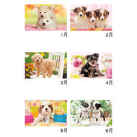 新日本カレンダー 【2025年版】壁掛カレンダー サンキュー・ドッグ 46/8切 NK8454 1冊（直送品）