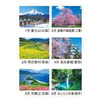 新日本カレンダー 【2025年版】壁掛カレンダー 四季の日本 46/4切 NK8087 1冊（直送品）