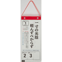 高橋書店 【2025年版】日めくり型 ことわざカレンダー A4変型 縦長 E511 1冊（直送品）