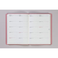 高橋書店 【2025年版】5年卓上日誌 A5 5年連用 ピンク 483 1冊（直送品）