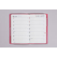 高橋書店 【2025年版】T'mini5 手帳判 見開き2週間 日曜始まり ピンク 154 1冊（直送品）
