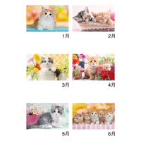 新日本カレンダー 【2025年版】壁掛カレンダー サンキュー・キャット 46/8切 NK8455 1冊（直送品）