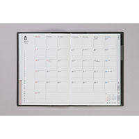 高橋書店 【2025年版】ディアクレールラプロ3 A5 月間 日曜始まり グリーン 503 1冊（直送品）