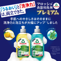 フロッシュ ユズ プレミアム 本体 300ml 1セット（1個×3） 食器用洗剤 旭化成ホームプロダクツ