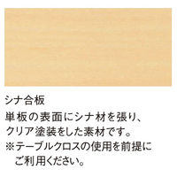【軒先渡し】ニシキ工業 折りたたみテーブル 幅1800×奥行900×高さ700mm AATS-1890 1台（直送品）
