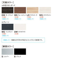 【軒先渡し】ニシキ工業 ビッグテーブル 幅2400mm×奥行1200mm×高さ720mm ライトオーク ABL-S2412KW-LO 1台（直送品）