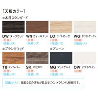 【軒先渡し】ニシキ工業 ビッグテーブル 幅3200×奥行900×高さ720mm ホワイトグレイン ABSK-3290-WG 1台（直送品）