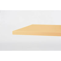 【軒先渡し】ニシキ工業 ミーティングテーブル 幅2100×奥行1000×高さ720mm ペールウッド APRL-2110W-PL 1台（直送品）