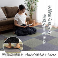 イケヒコ DXピーア い草ラグ 花ござ カーペット ラグ 格子柄 市松柄 2550×3400mm グレー 1030340132002 1枚（直送品）