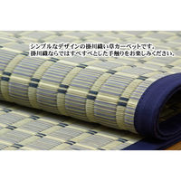 イケヒコ・コーポレーション 豊後 掛川織 い草カーペット 2610×2610mm ベージュ 1031170020402 1枚（直送品）