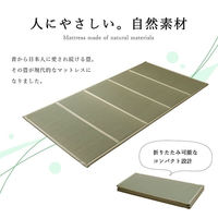 い草 ユニット 畳 軽量 抗菌防臭 消臭 防音 断熱性 お手入れ『畳マットレス』 1040130011014 1枚