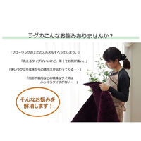 イケヒコ・コーポレーション 滑り止めシート ウレタン ふんわり クッション性 ボリューム『ごろりんピタッと』 1080570138607 1枚