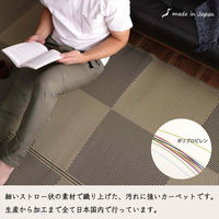 イケヒコ・コーポレーション 洗える ござ 日本製 国産 カーペット 除菌スプレー対応 ラグ 敷物『ラフテル』 1090270000902 1枚