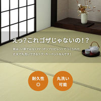 イケヒコ・コーポレーション 洗える ござ 日本製 国産 カーペット リバーシブル 除菌スプレー対応『ミーサ』 1090740020802 1枚