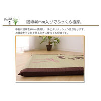 イケヒコ・コーポレーション い草 い草マット 国産 マット ごろ寝マット フリーマット『おばあちゃん』 1120510013501 1枚（直送品）