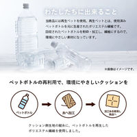 イケヒコ・コーポレーション クッション フリーシート ベンチシート 無地 国産『ループ』 1211810020501 1枚