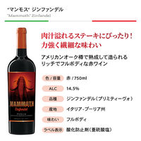 イタリア　肉に合う！ 旨濃いイタリア赤ワイン4本セット 1セット（750ml×4本）　モンテ物産 飲み比べ