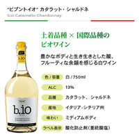 ワインメーカーソムリエ厳選 イタリア オーガニックワイン（赤・白4本セット） 1セット（750ml×4本） モンテ物産　飲み比べ