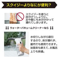 ケルヒャー ウォーターバキュームクリーナー WV 1 White 1.633-613.0 1台