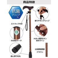 ストリックスデザイン 踏ん張りつえ先ステッキスリム伸縮BR抗菌 SB-031 1本