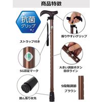 ストリックスデザイン 踏ん張りつえ先ステッキ太め伸縮BR抗菌 SB-030 1本