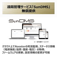 サン電子 DRX5010-SET デュアルSIM対応ルータ+ACアダプタ・アンテナ×2 11SDRX51ST1 1セット