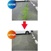 エスコ 210mm 雑草ブラシ EA650BE-21 1セット(6本)（直送品）