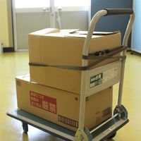 三友産業 フラットゴム オリーブ 2.5m HR-3816 1セット(4個)（直送品）