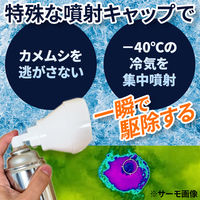 カメムシ 氷殺スプレー 4595317487072 1個