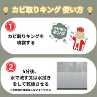 カビ落とし カビ取りキング500ml 4595317487034 1セット(1個×6)