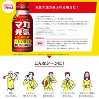 マカの元気ドリンク100mlボトル缶 1セット（1本×3） ポッカサッポロ
