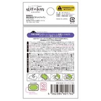 妖怪の私物 抗菌 ウェットシートのフタ ミニサイズ ネオンピンク 1セット（1個×4）ビタットジャパン