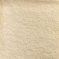 林 やわらかフェイスタオル テックカラー アイボリー FO438013 1枚