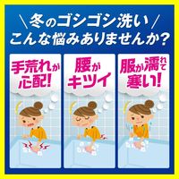 ルックプラス バスタブクレンジング 銀イオンプラス スカッシュシトラス 詰め替え 大型 800ml 1セット（1個×3） ライオン
